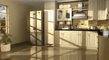 PestFri™ | Beskytter dit hjem mod skadedyr